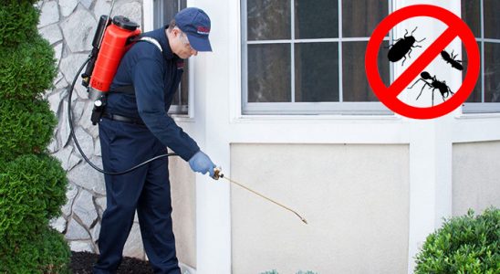 Kumluca Hamam Böceği İlaçlama böcek ilaçlama ve haşere kontrolü — ilaclama-tr.com